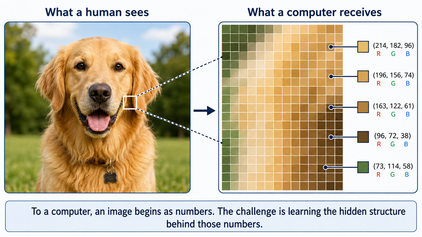 To a computer an image begins as numbers
