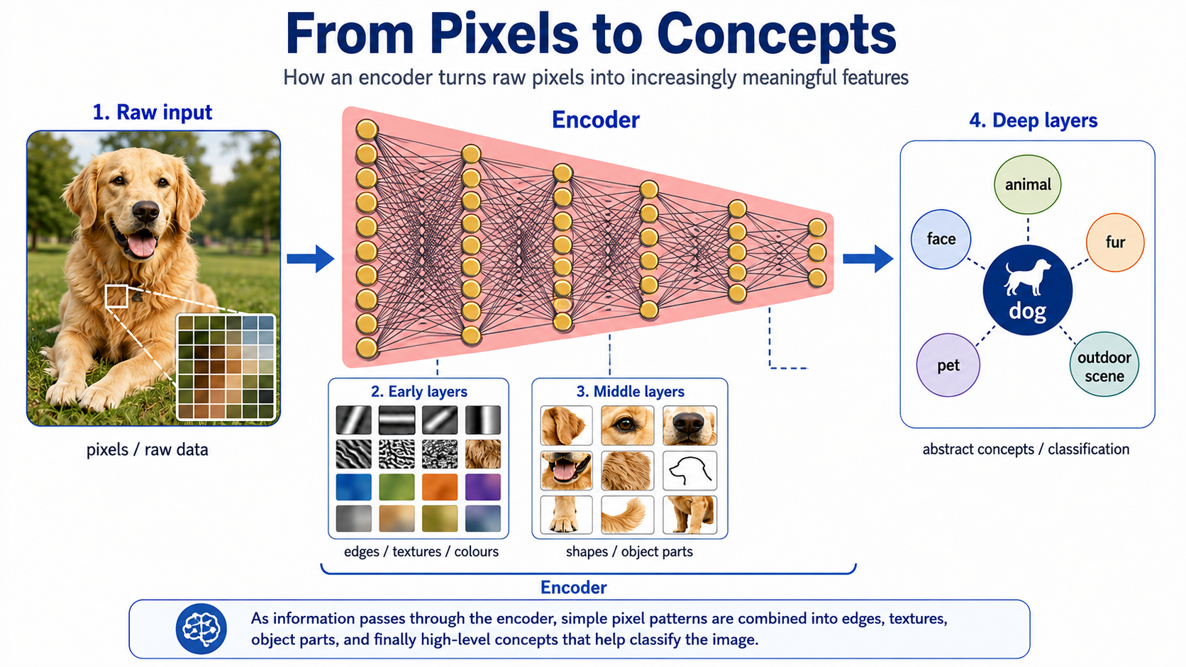 How an encoder turns raw pixels into increasingly meaningful features